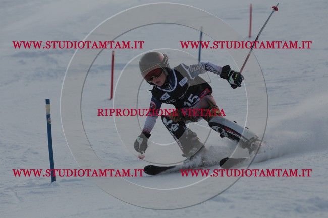 IMG_7274.JPG