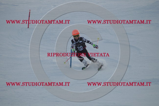 IMG_7347.JPG