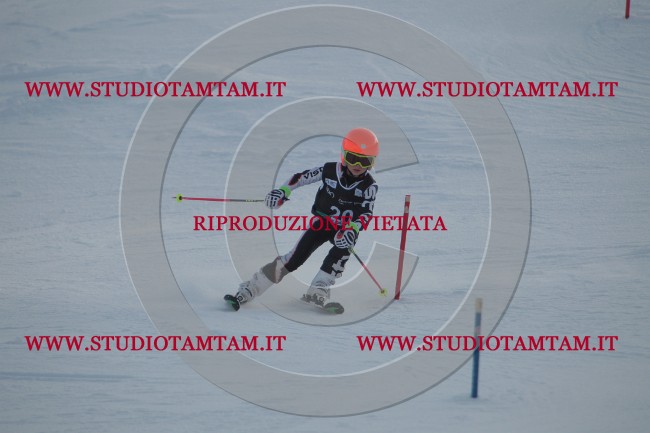 IMG_7350.JPG