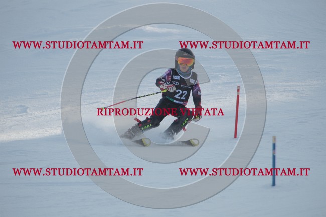 IMG_7379.JPG