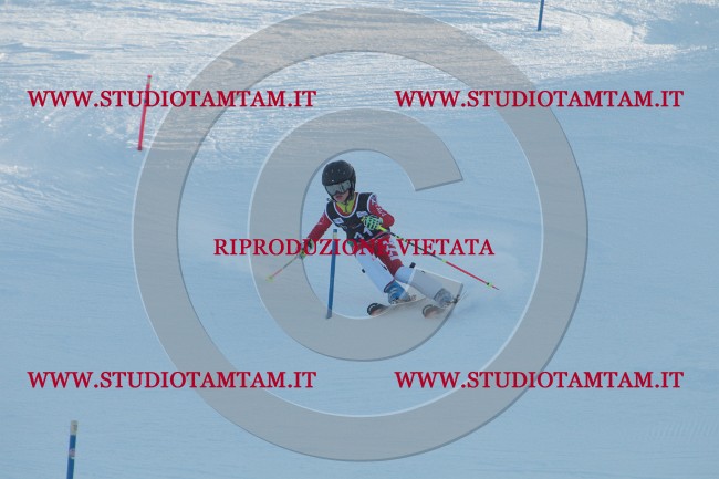 IMG_7879.JPG