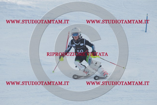IMG_8179.JPG