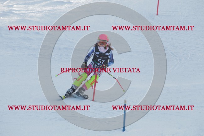 IMG_8412.JPG