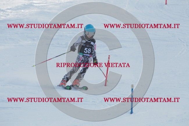IMG_8448.JPG