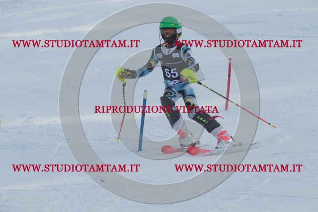 IMG_8732.JPG