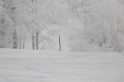 IMG_6748