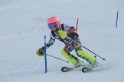 IMG_8293