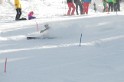 IMG_0464