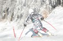 IMG_0704