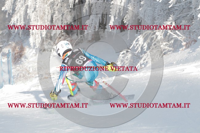 IMG_8864.JPG