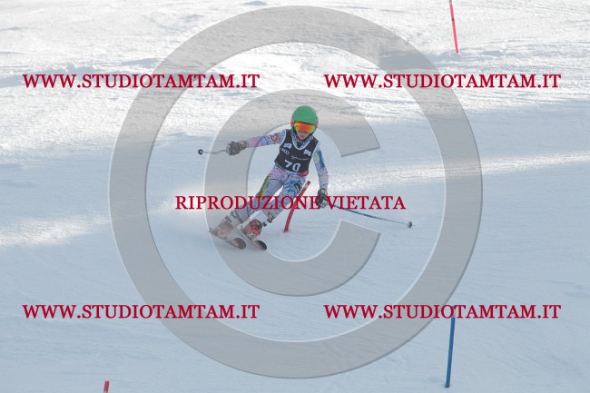 IMG_8866.JPG