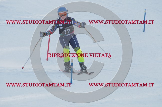 IMG_8930.JPG