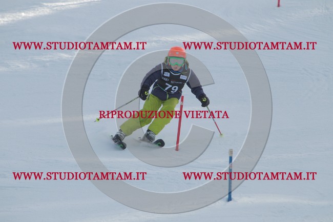 IMG_9174.JPG