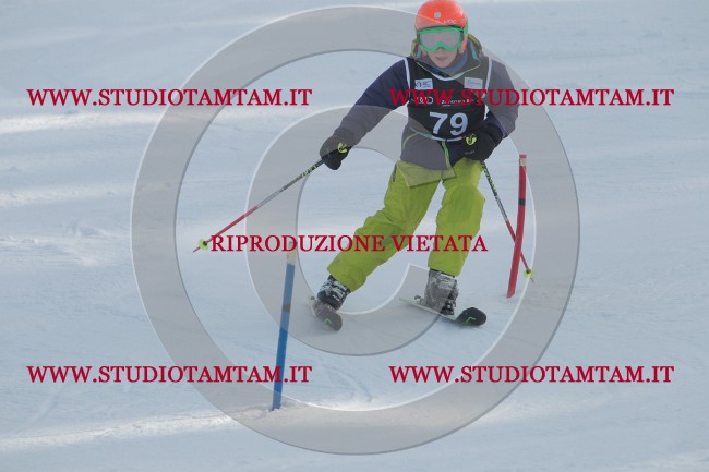 IMG_9183.JPG