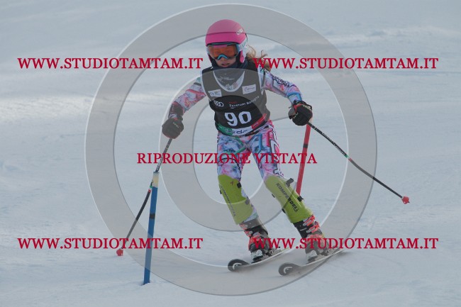 IMG_9572.JPG