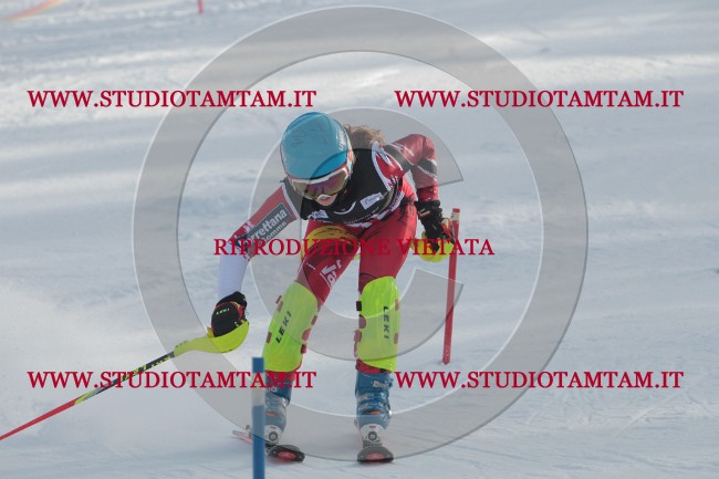 IMG_9613.JPG