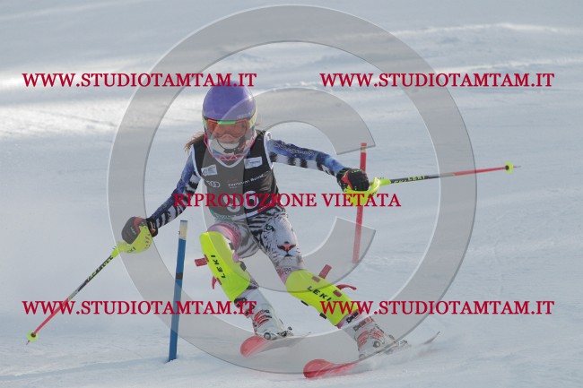 IMG_9771.JPG