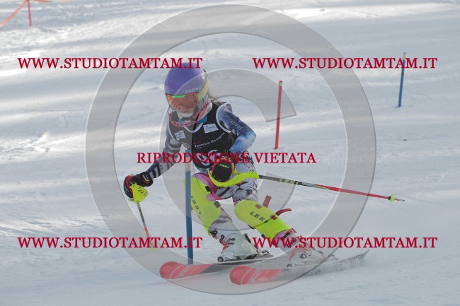 IMG_9783.JPG