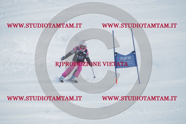 IMG_0884.JPG
