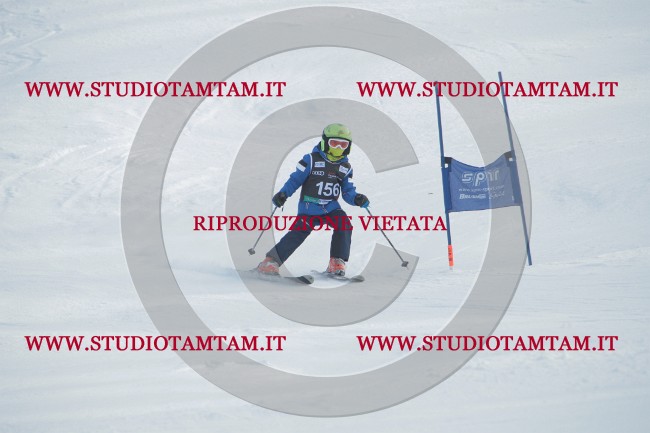 IMG_1002.JPG