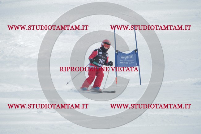 IMG_1129.JPG