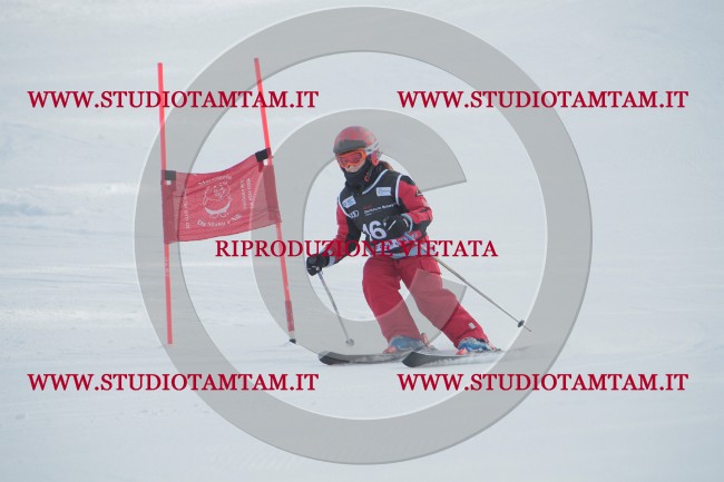 IMG_1139.JPG