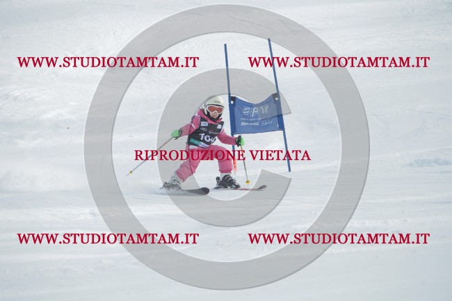 IMG_1237.JPG