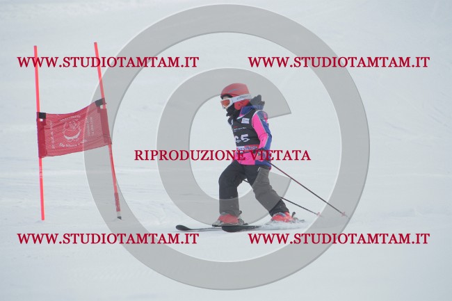 IMG_1272.JPG