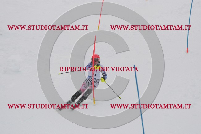 IMGB0027.JPG