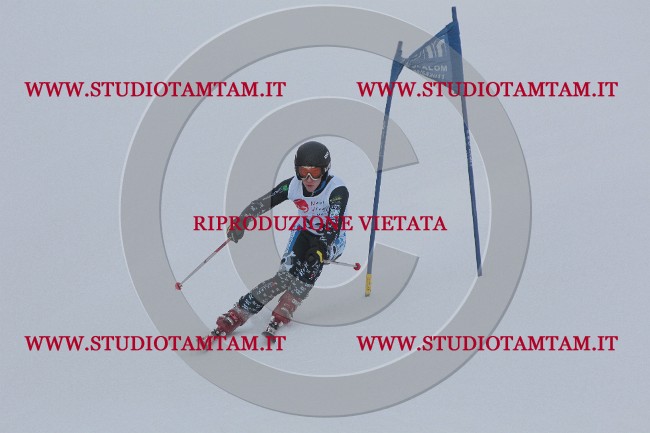 IMG_1970.JPG
