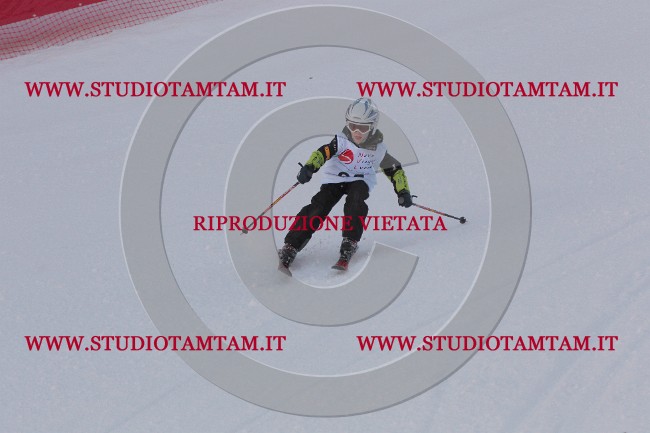 IMG_2286.JPG