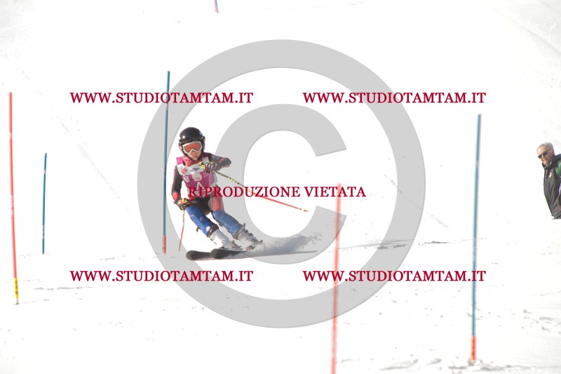 IMG_8872.JPG