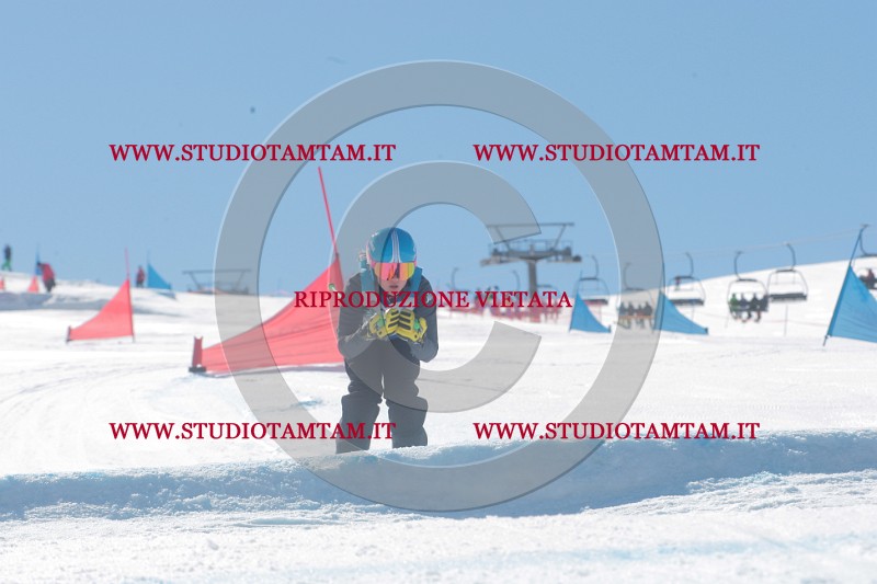 IMGB0240.JPG