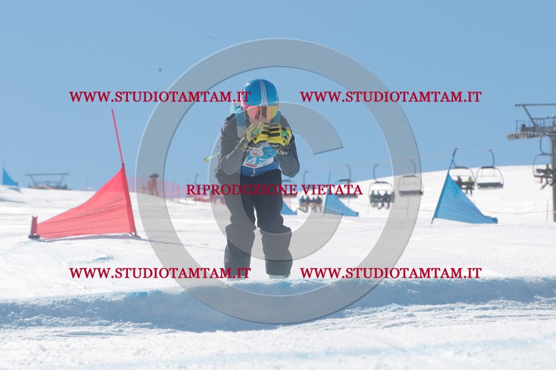 IMGB0242.JPG