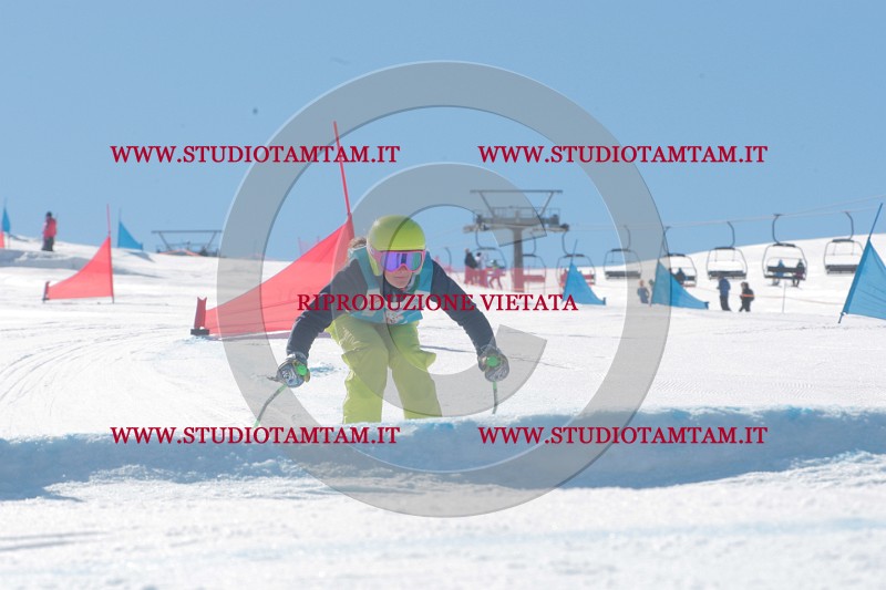 IMGB0006.JPG