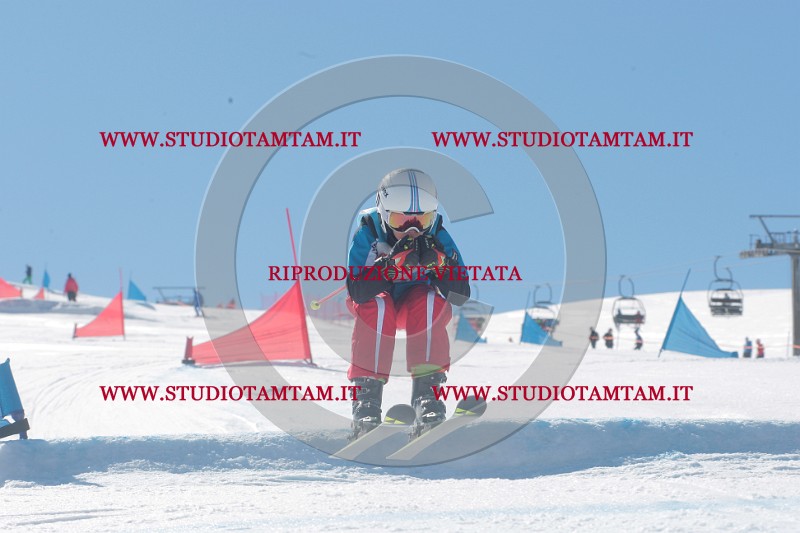 IMGB0033.JPG