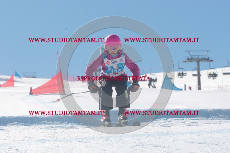 IMGB0110.JPG