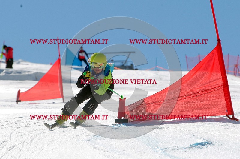 IMGB0118.jpg