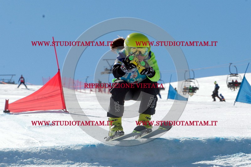 IMGB0124.jpg