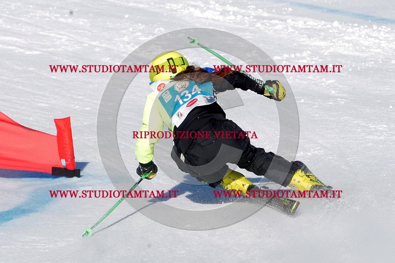 IMGB0129.jpg