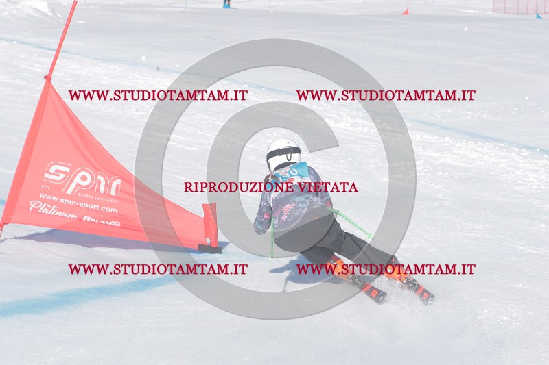 IMGB0148.JPG