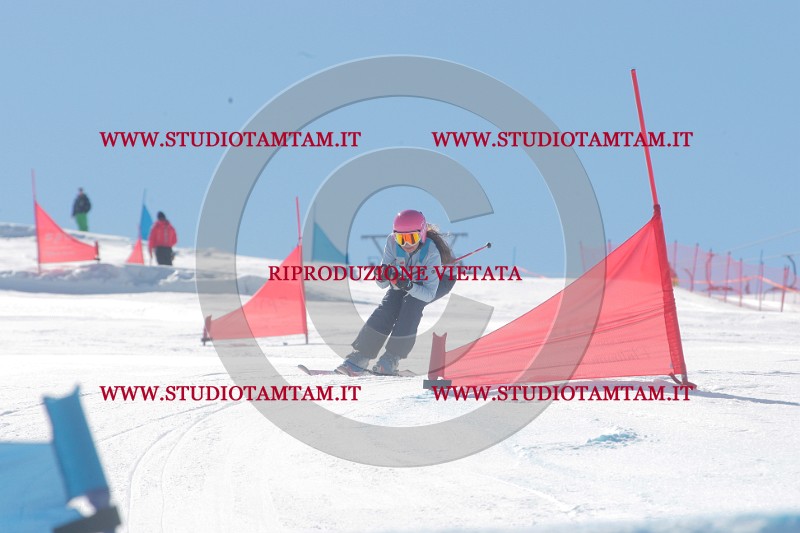 IMGB0173.JPG