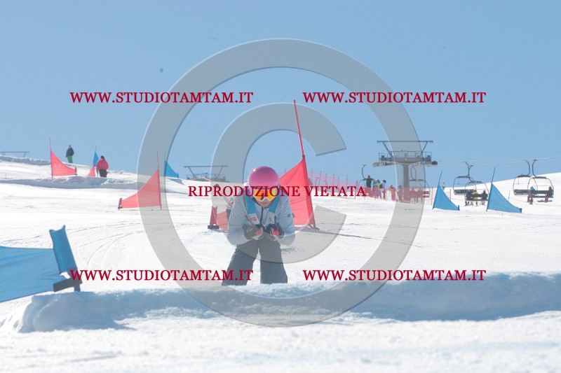 IMGB0177.JPG