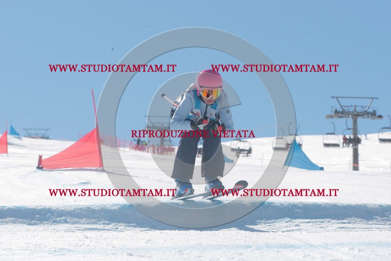 IMGB0180.JPG