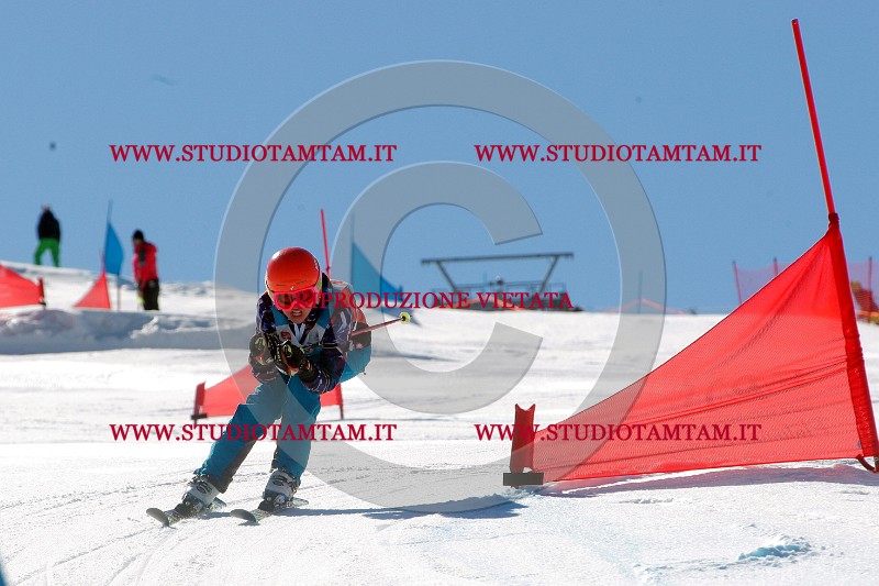 IMGB0203.jpg