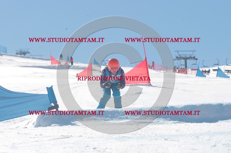 IMGB0205.JPG