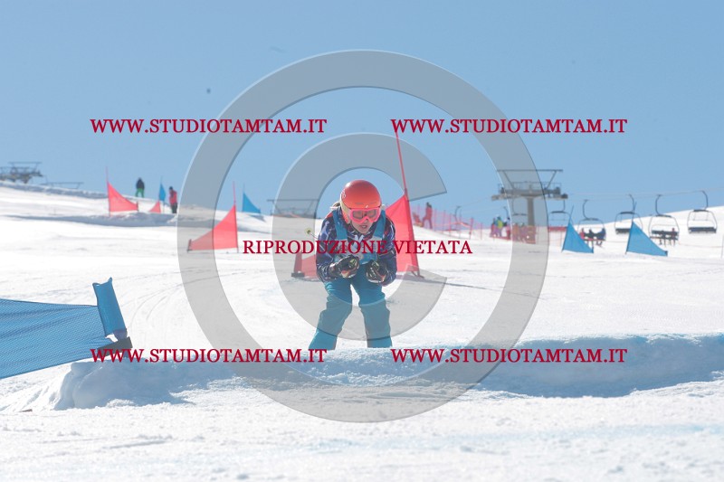 IMGB0206.JPG