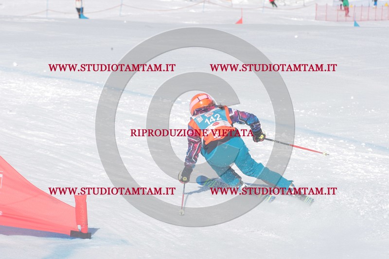 IMGB0214.JPG