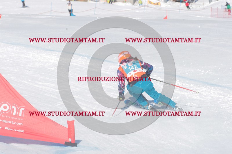 IMGB0215.JPG
