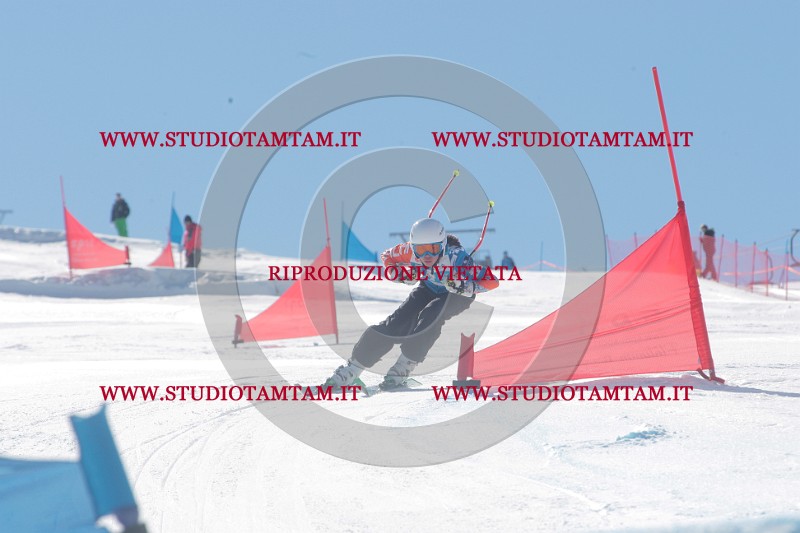 IMGB0217.JPG
